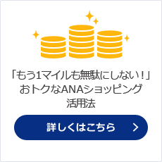 �u����1�}�C�������ʂɂ��Ȃ��I�v���g�N��ANA�V���b�s���O���p�@