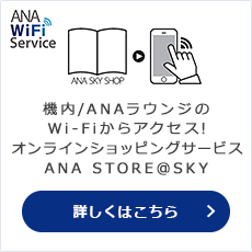 �����ŃA�N�Z�X�ł��鍑�����@��Wi-Fi�R���e���cANA STORE@SKY