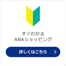 �����킩��ANA�V���b�s���O �ڂ����͂�����