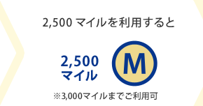 3,000�}�C���𗘗p�����