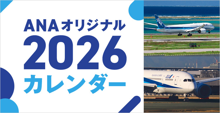 ANA�I���W�i���J�����_�[2020