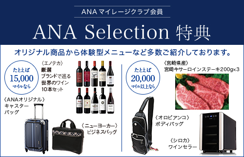 ANA�Z���N�V����