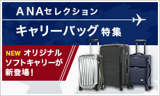 �}�C���Ō����ł���L�����[�o�b�O