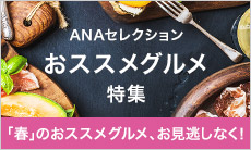 ANA�Z���N�V���� ���X�X���O�������W