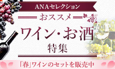 ANA�Z���N�V���� ���X�X�����C�����W